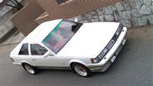 きれいなショットが取れました。