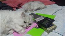 後姿が同じ格好～