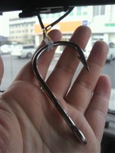グラちゃん入院のお知らせ＼(^o^)／