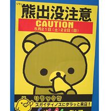 札幌・円山にクマ出没
