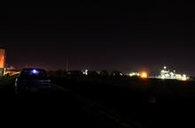 夜な夜な、光を求めて旅をするカモメ