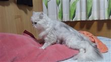 ２０１１年の１０月の３連休は～