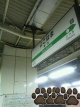 お祝い飲み会(￣▽￣)b 