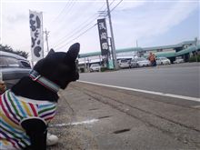 Ｗｉｎｎｅｒｓツーリング　ブドウ狩り　in　山梨