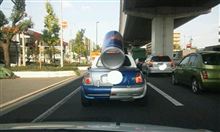 やっと実物と遭遇♪