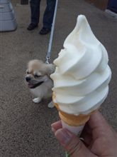 今日のスイーツ 今日のスイーツ