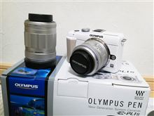 買い増した