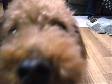 なかなかなぁ・・・。