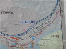迷走、そして大回遊!?
