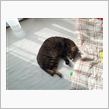 一日の出来事