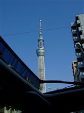 スカイツリーを見上げる