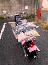 本領発揮