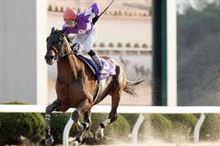 競馬当たったぁv(≧∇≦)v ｲｪｪ~ｲ♪