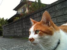 監督♪
