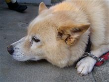 ☆１４歳と、半年～（＊＾＾＊）