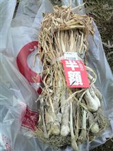 半額でぜッット（手）