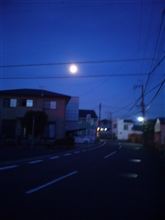 どうして食べれない(T_T)