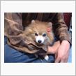 母親のひとこと