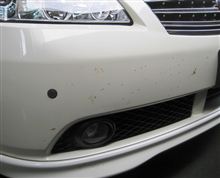 虫たちとの格闘…。
