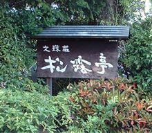 天橋立ドライブ