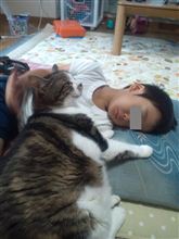 【亡くなりました】・・・。