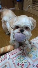 寝る前の(^^) 