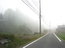 朝靄の中を走る。