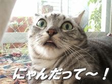 まさか今更…