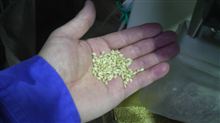 日本酒、好きですか？