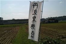 黒豆狩りに行ってきました