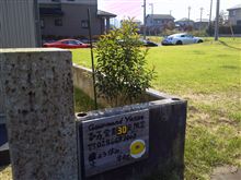 しずか～にｻﾝﾎﾟ(￣0￣)３０