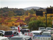紅葉はどうよぅ？