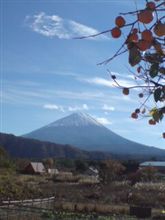 紅葉見に行紅葉♪