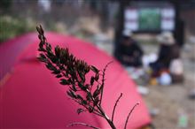 ⑤西穂高珍道中＆Ｎaphオフ会