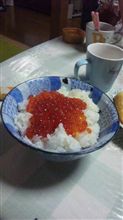 北海道からの