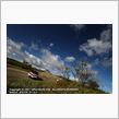 2011 Rally Hokkaido・3