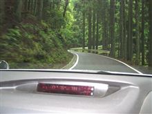 ecoecoザメラク・・・