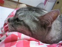 風邪でダウン