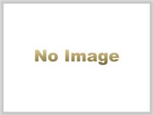 試してみました、足裏シート