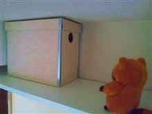 さぁ、箱が組めたぞ・・・・・