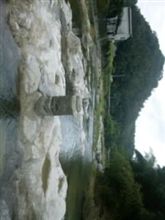 ふとしたことから川端を散策！