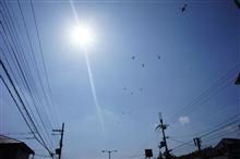 え！？まさか。。。（汗
