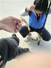 リリース