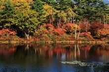 深まる秋に・・・(後編)~おいでよ こびとの森~ 深まる秋に・・・(後編)~おいでよ こびとの森~