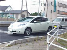 リーフを初めて見た。