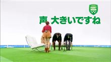 はじけてますね（笑