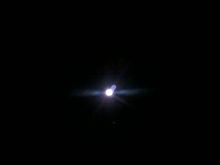 １６日愛宕山散策。