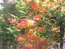 おはようございまーす♪　[11/10/17]