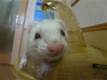 行きたくない病院