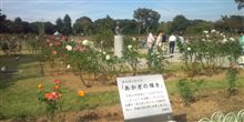 【秋のバラフェスタ2011】・・・。